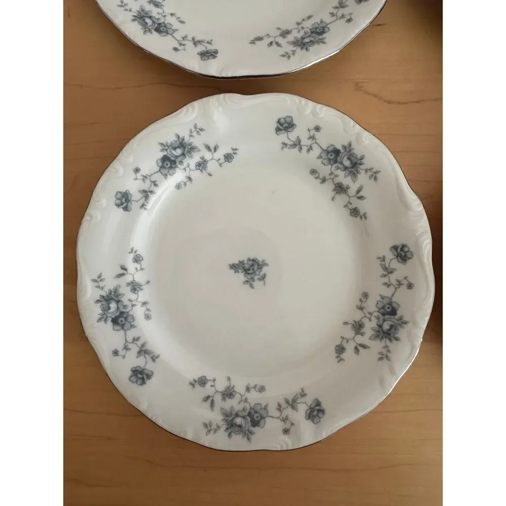 Vintage Johann Haviland Blue Garland Plates Set of 8 Germany China Platinum Trim